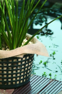 Ubbink jutová výplň do pestovateľských košov 60 x 60 cm - Ubbink textilné vrecko na vodné rastliny premer 25 cm | T - TAKÁCS veľkoobchod