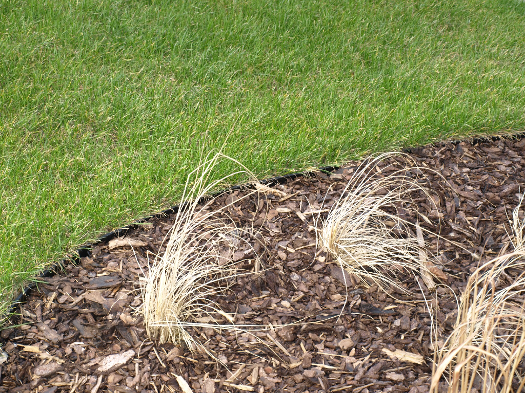 Lišta Ekobrim - oddelenie trávnika od záhonu - detail.