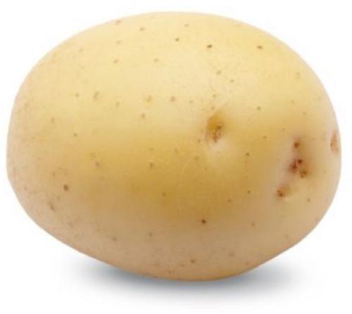 Zemiaky minisadba Colomba 28 - 35 mm, 1 kg