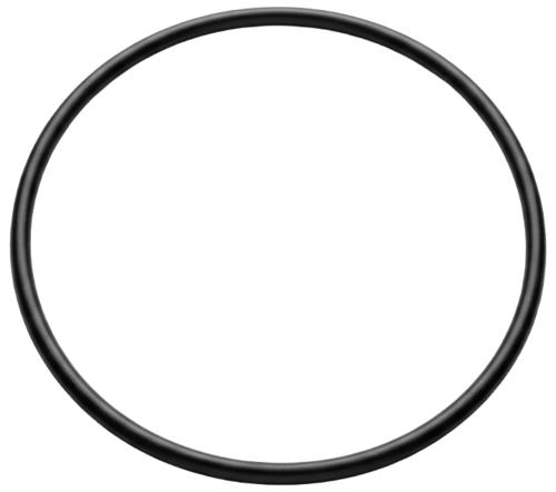 ASTRALPOOL tesnenie torické 124 x 3,5 SHARK , MAXIM